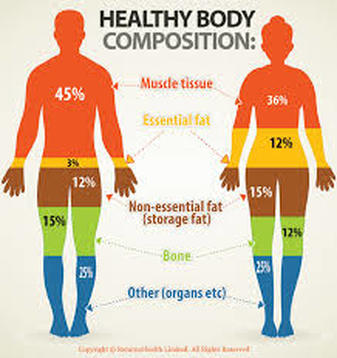 Healthy body composition