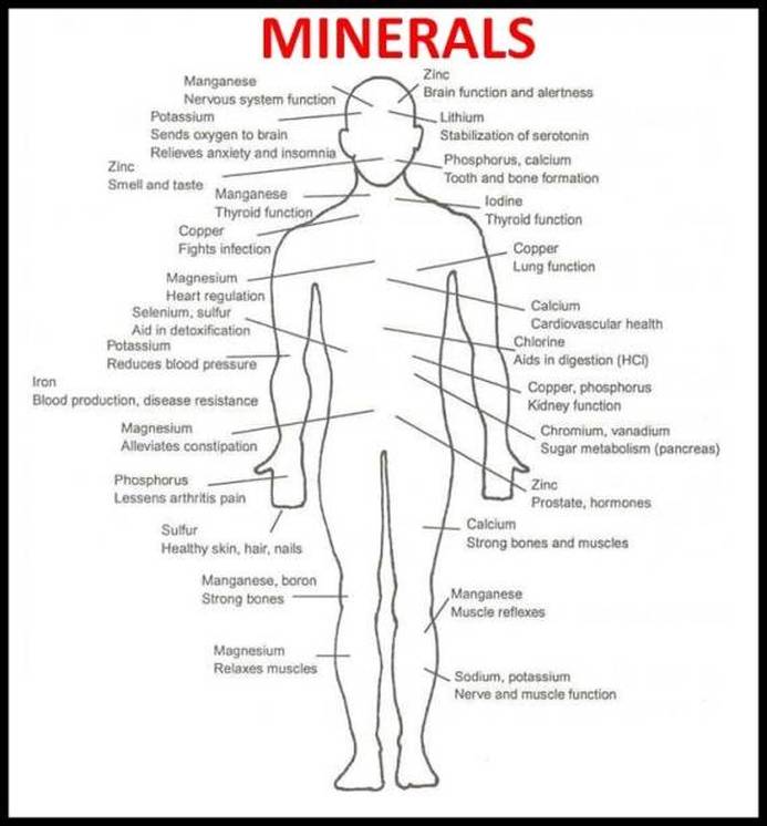 Minerals for the body