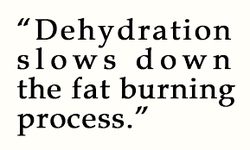 Dehydration and fat burning