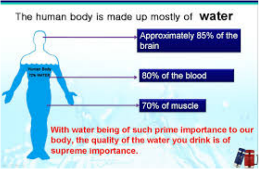 Human body and water
