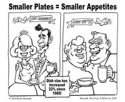 Cartoon plate sizes